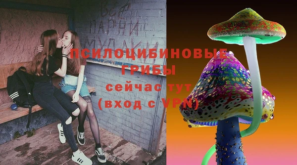 дмт Алзамай