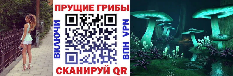 Галлюциногенные грибы Psilocybine cubensis  Солнечногорск 