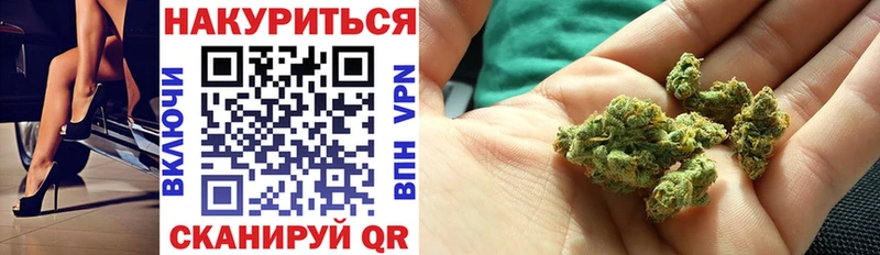 наркота omg tor Канабис семена Солнечногорск